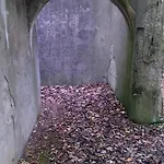 Katzensprung Zum Wald