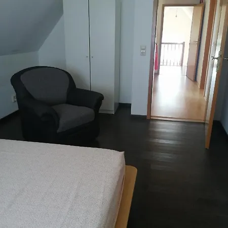 Katzensprung Zum Wald