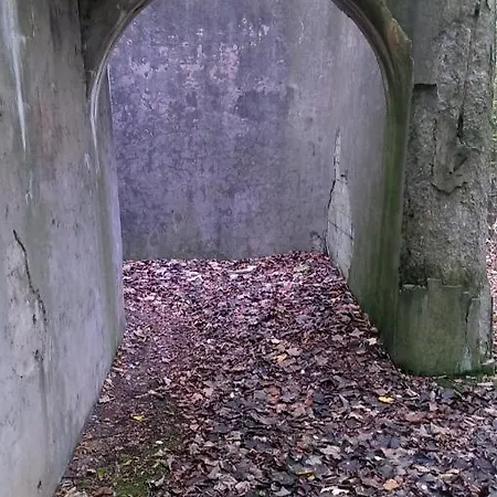 Katzensprung Zum Wald