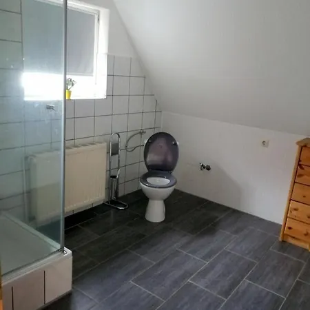 Katzensprung Zum Wald *