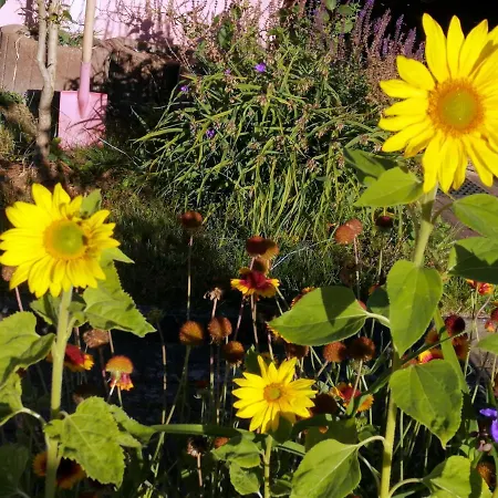 Apartmán Katzensprung Zum Wald *