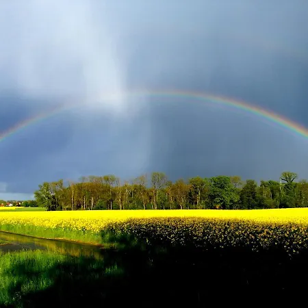Katzensprung Zum Wald Apartmán