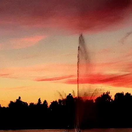 Katzensprung Zum Wald