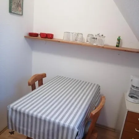 Katzensprung Zum Wald *