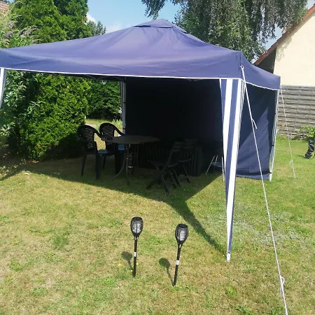 Katzensprung Zum Wald